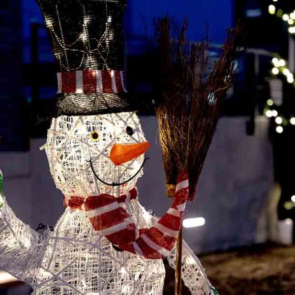 Tree Lighting Ceremony with Santa at element