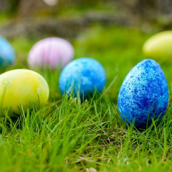 Easter Eggs on the lawn.