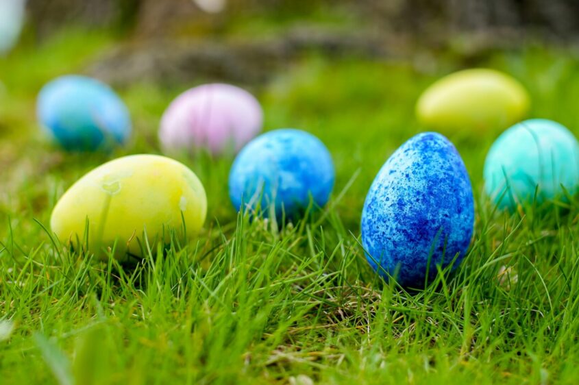 Easter Eggs on the lawn.